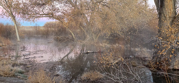 Bernardo Wildlife Area, New Mexico
